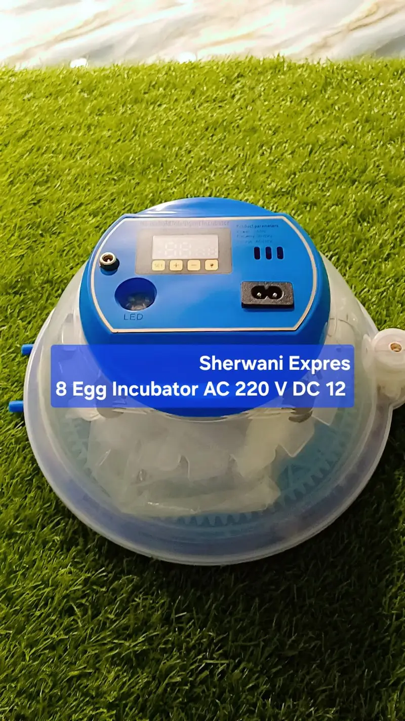 Best Egg Incubator automatic made in China — photo 4