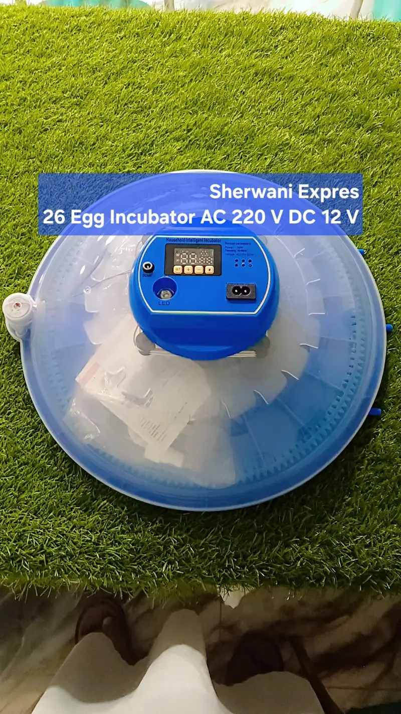 Best Egg Incubator automatic made in China — photo 5