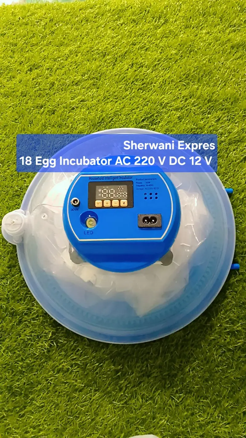Best Egg Incubator automatic made in China — photo 6