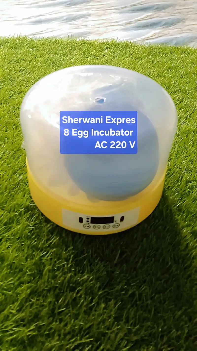 Best Egg Incubator automatic made in China — photo 8