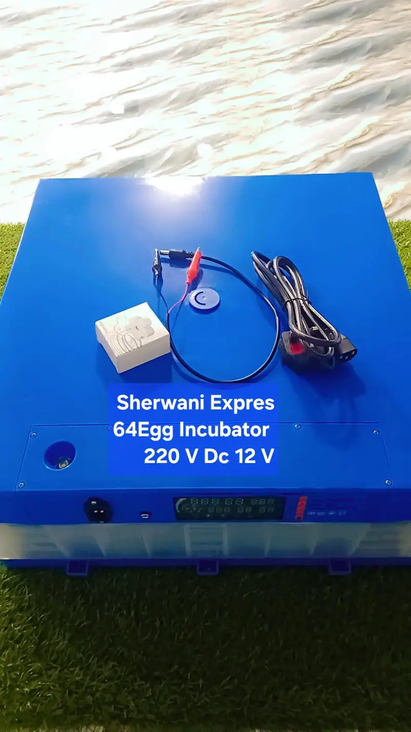 Best Egg Incubator automatic made in China — photo 9