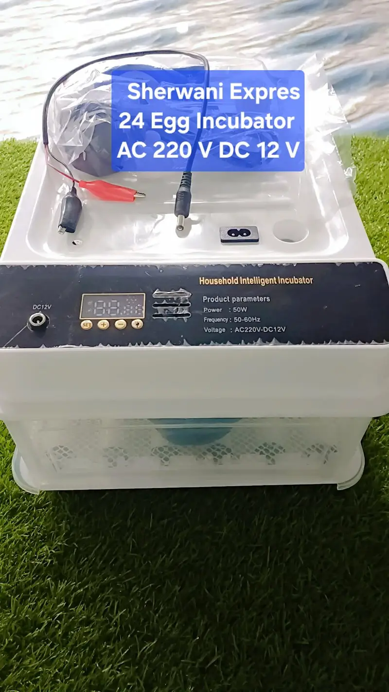 Best Egg Incubator automatic made in China — photo 10