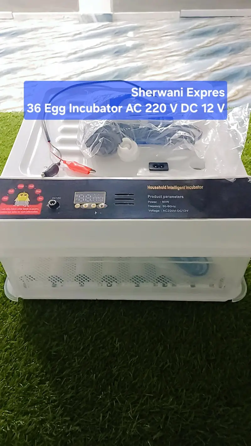 Best Egg Incubator automatic made in China — photo 11