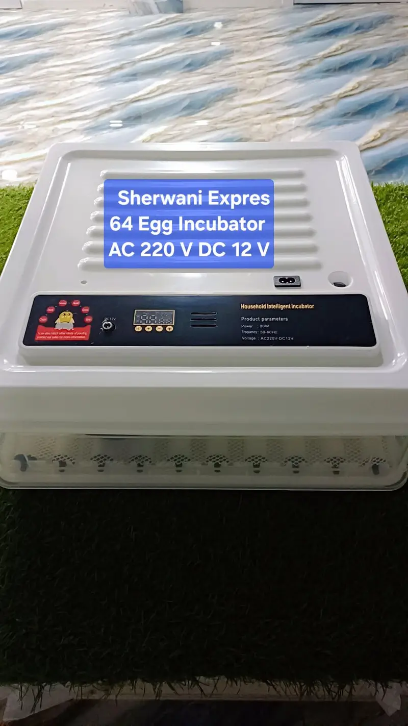 Best Egg Incubator automatic made in China — photo 12