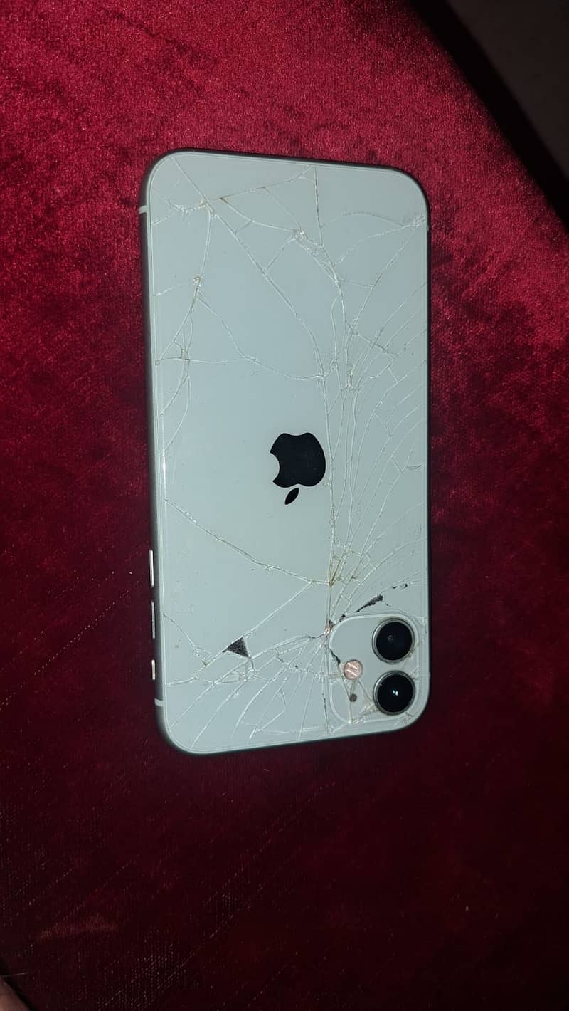 Apple iPhone 11 0