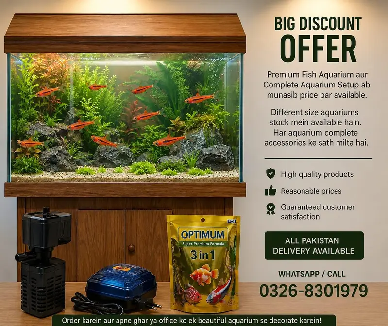 Big discount offer fish and fish aquarium — photo 8