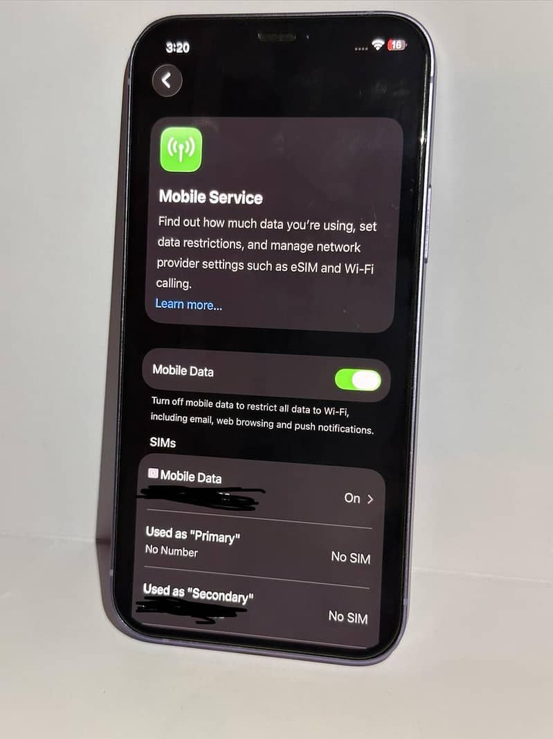 Apple iPhone 12 1