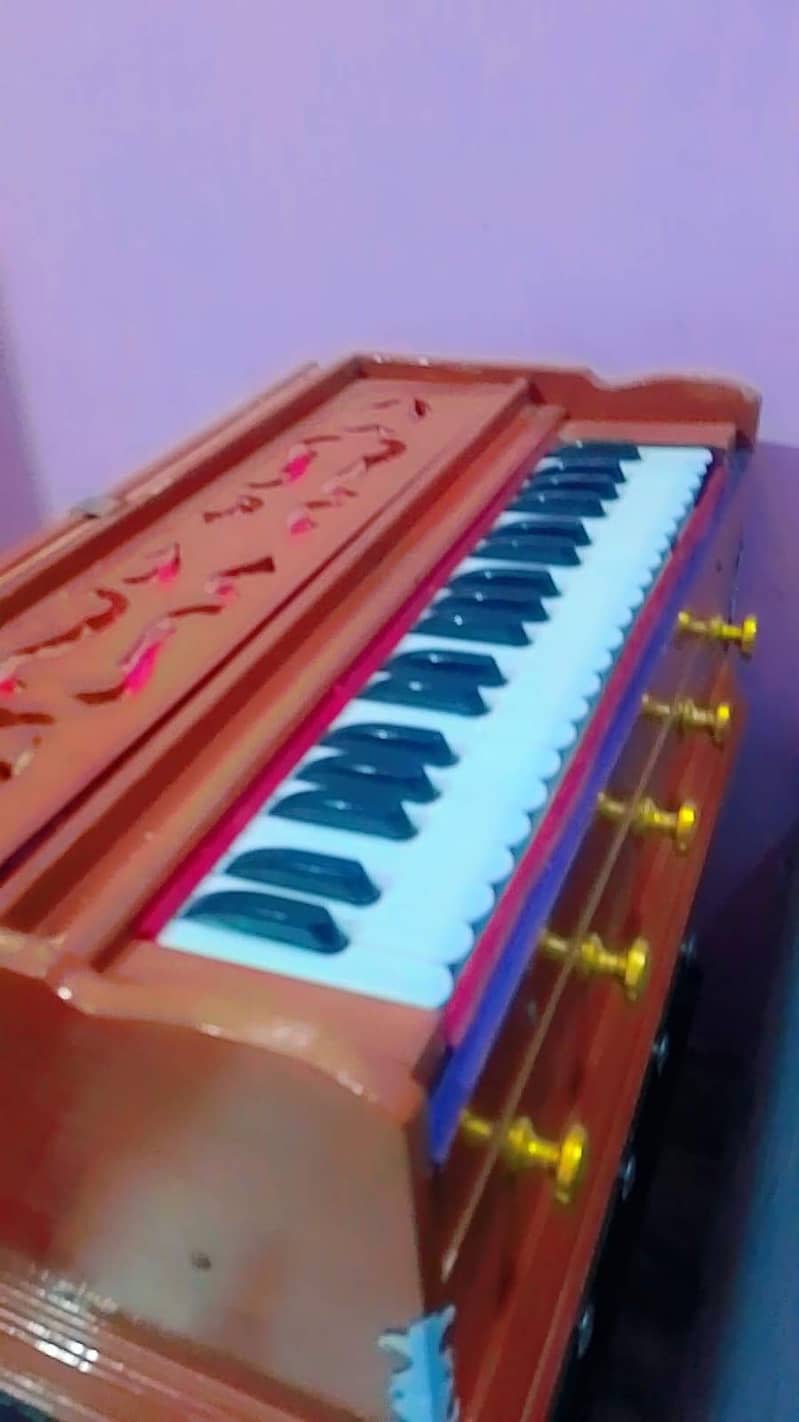 indian harmonium 6