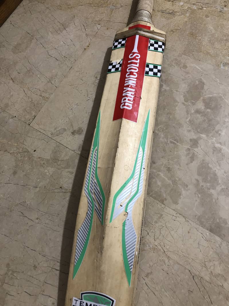 Kashmir willow 3