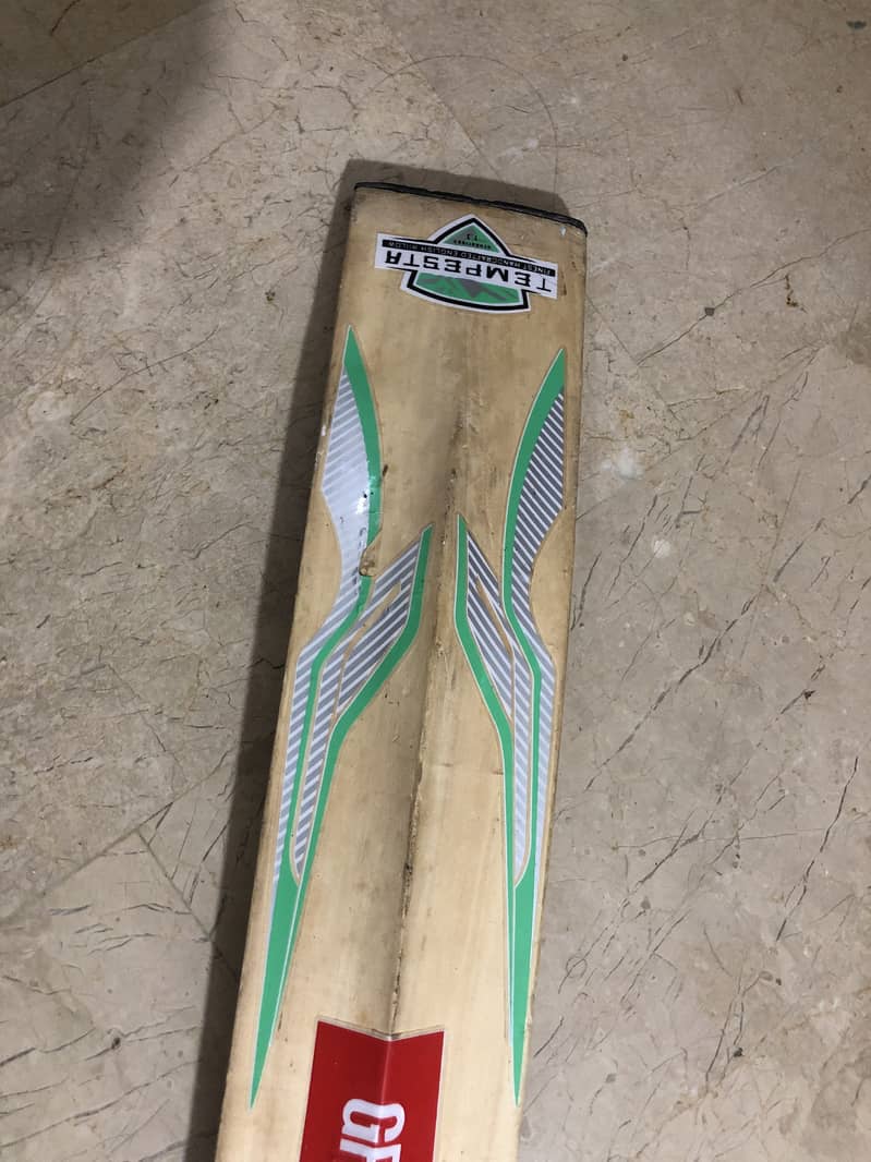Kashmir willow 6