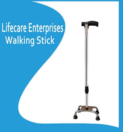 Walking stick