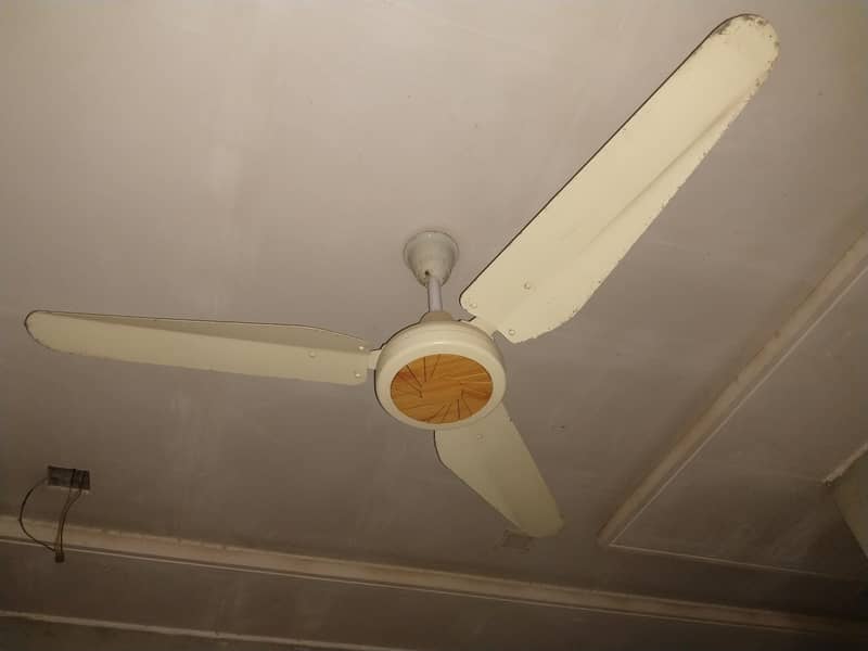 Ceiling fans 4