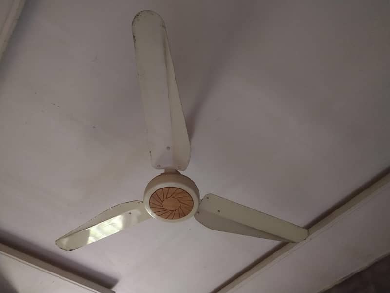 Ceiling fans 5