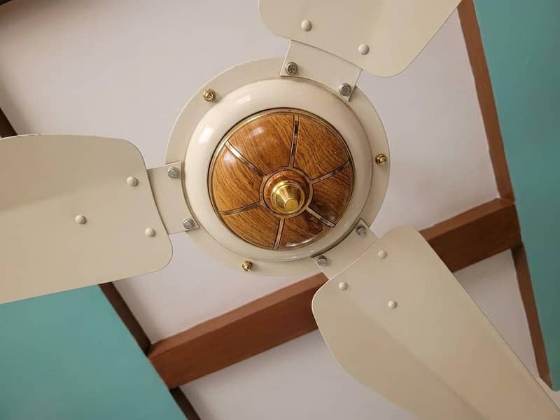 ceiling fans 9pc 0