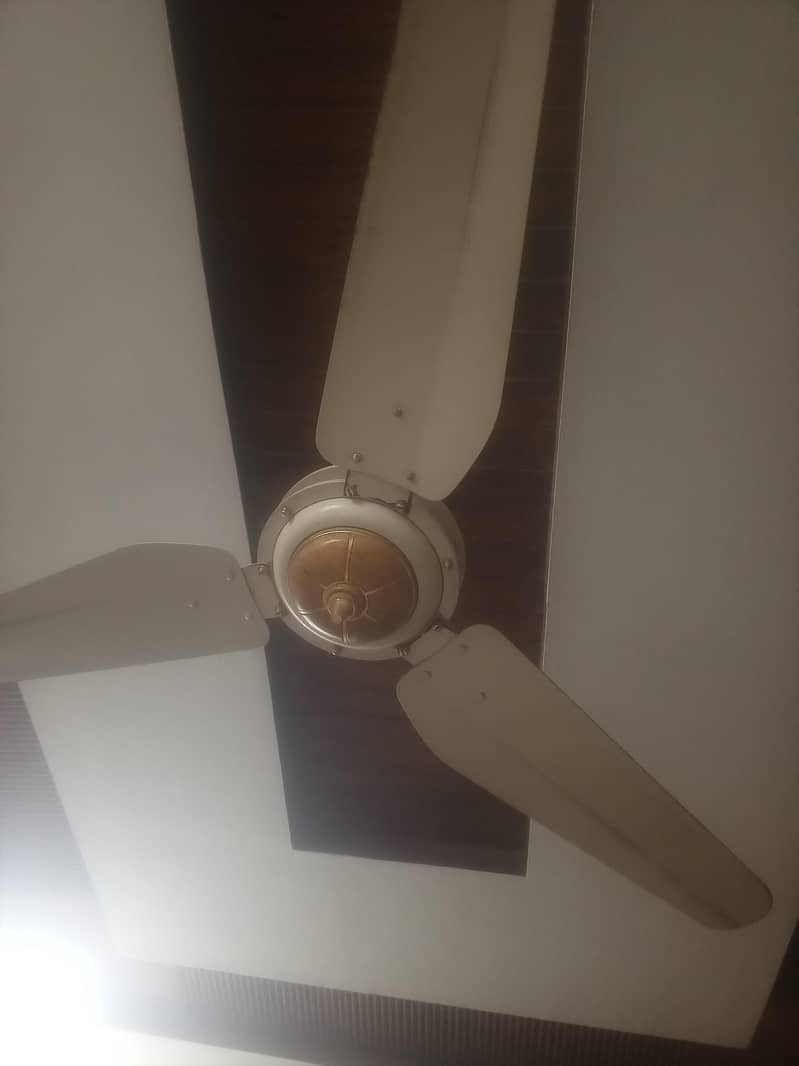 ceiling fans 9pc 6