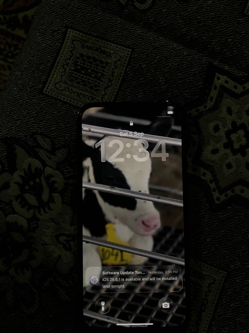 Apple iPhone 13 Pro 15