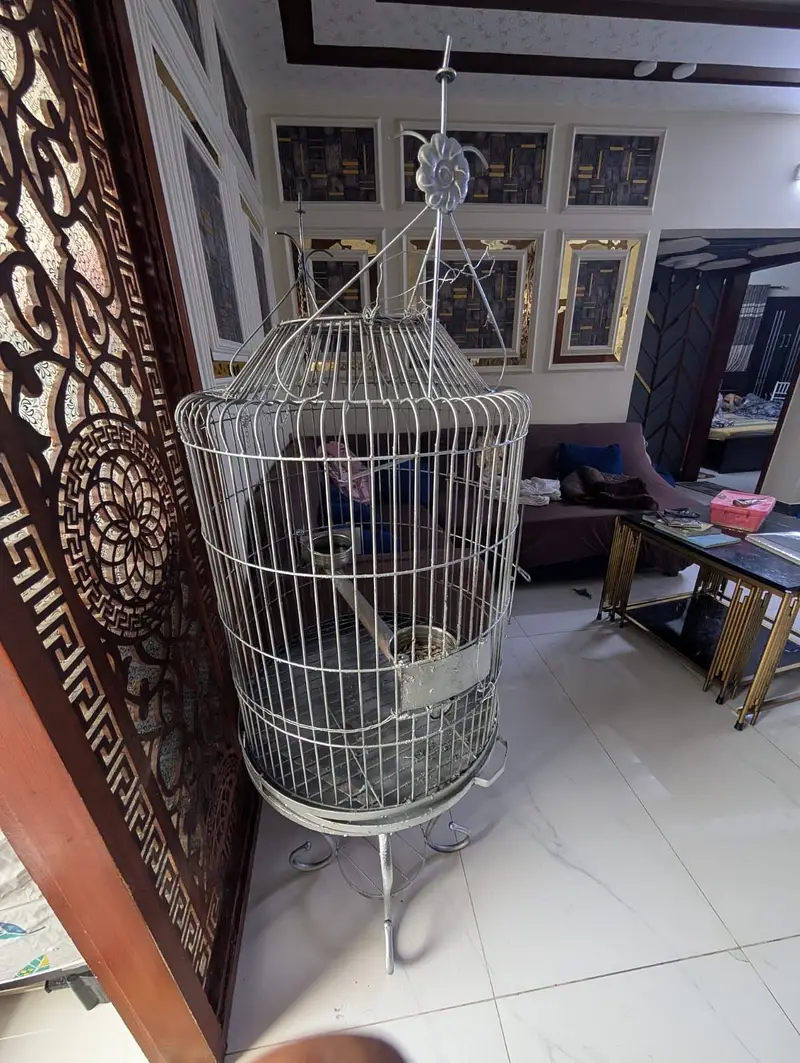 Bird Cage — photo 2