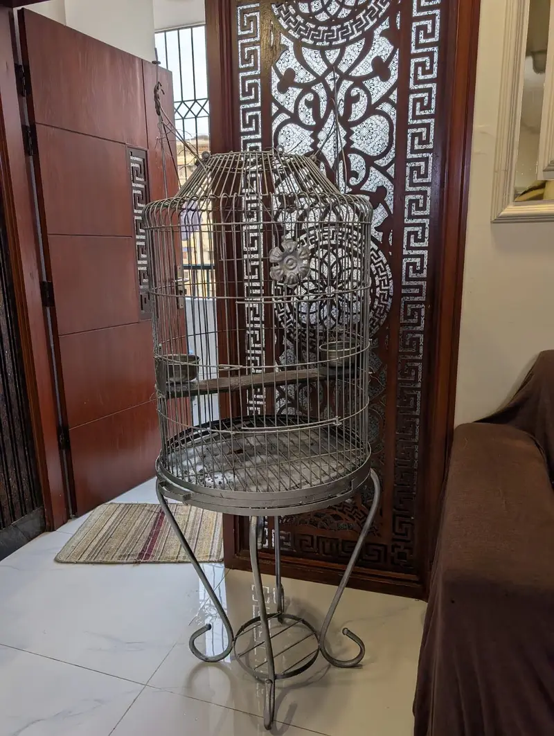 Bird Cage — photo 3