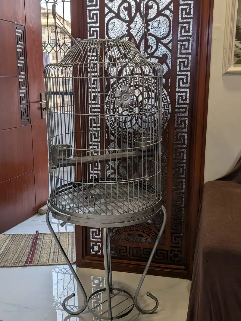 Bird Cage — photo 4