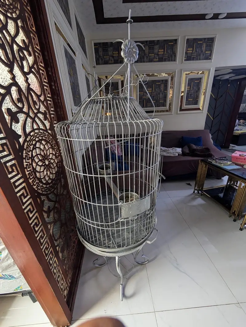 Bird Cage — photo 5