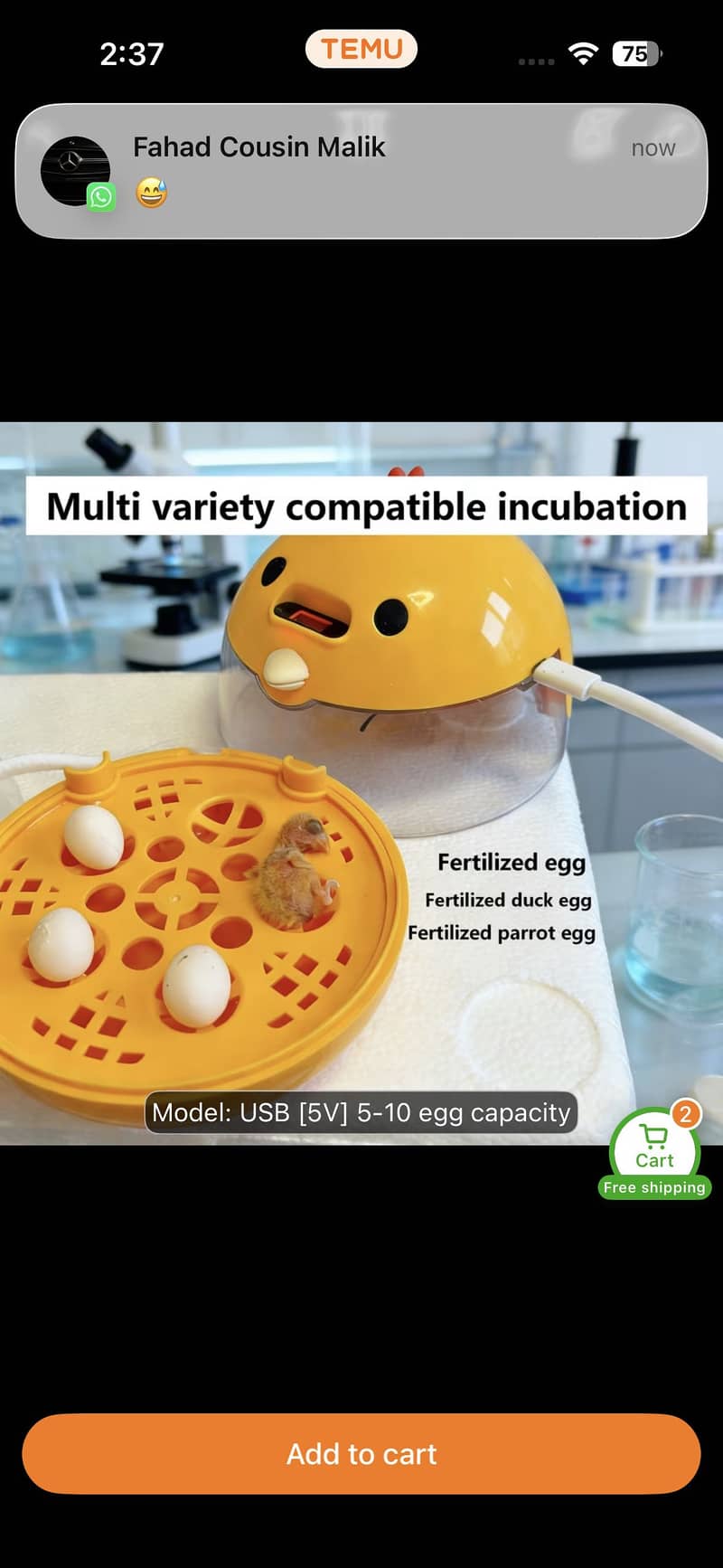 Small incubator 1