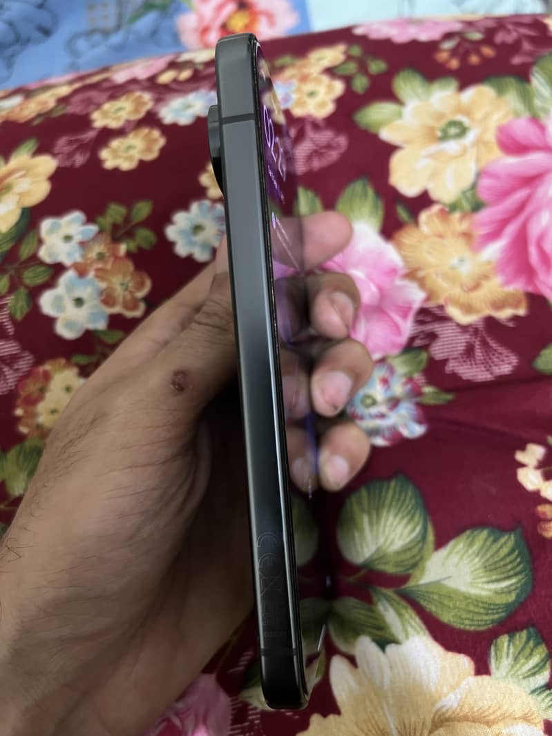 Google Pixel 9 Pro 1