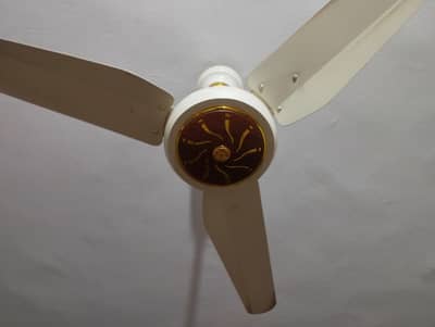 Yunus AC DC FAN
