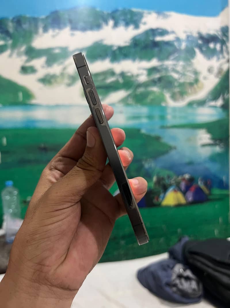 Apple iPhone 12 Pro Max 2