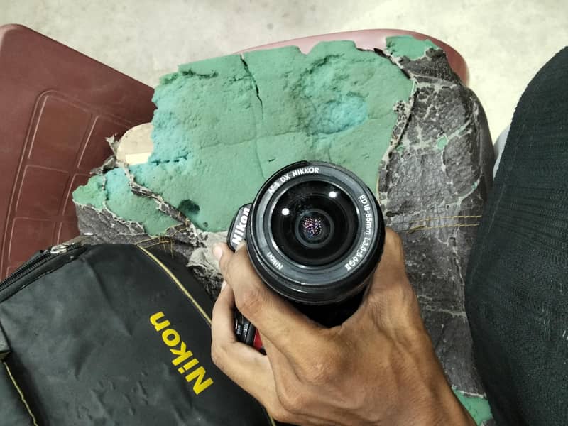 Nikon 3100 1