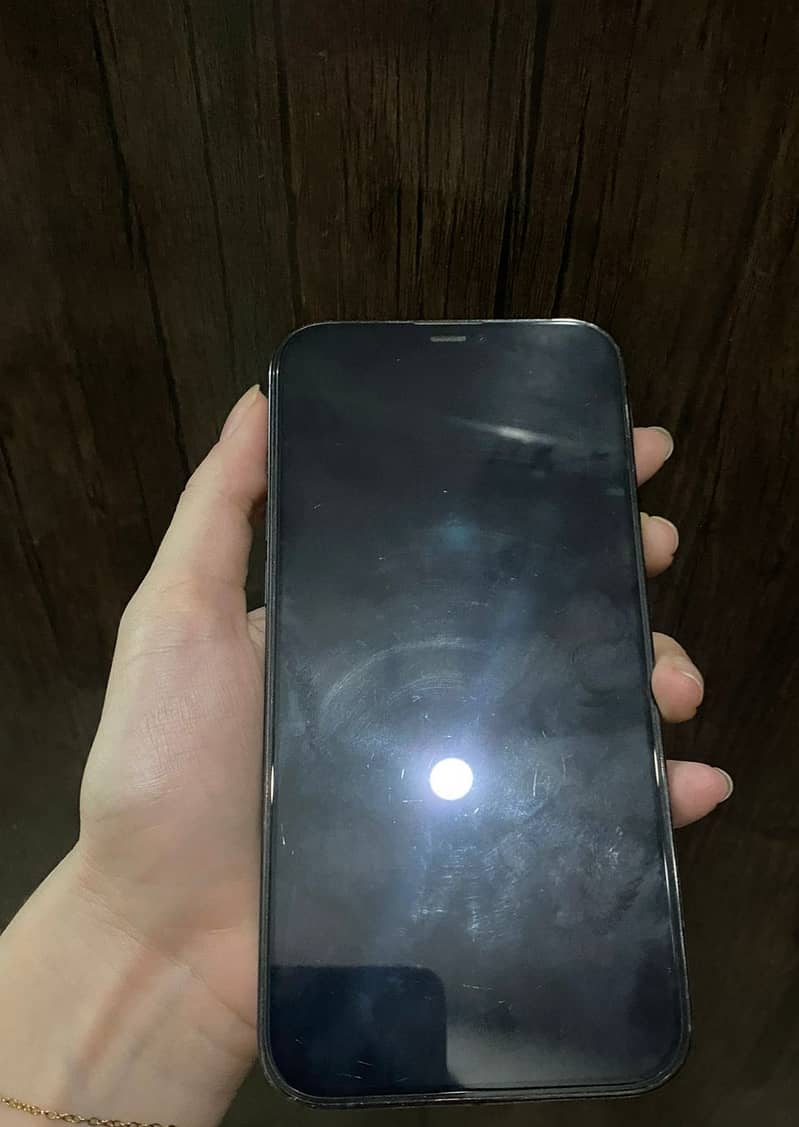 Apple iPhone 12 Pro Max 1