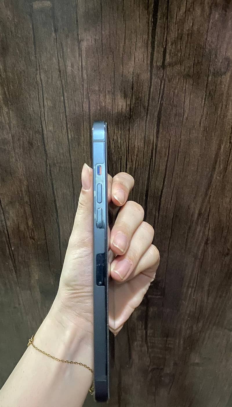 Apple iPhone 12 Pro Max 2