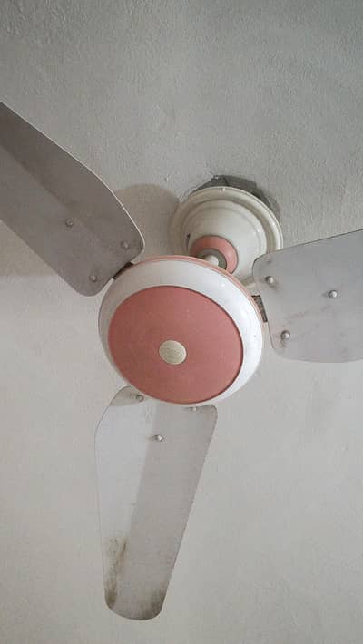 Fan For Sale
