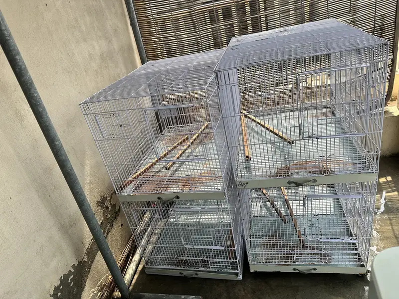 4 portion birds cage. — photo 2
