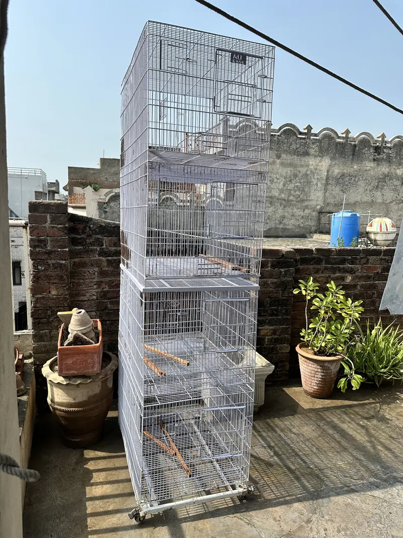 4 portion birds cage. — photo 4