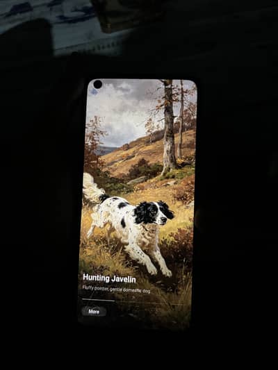 Realme 8