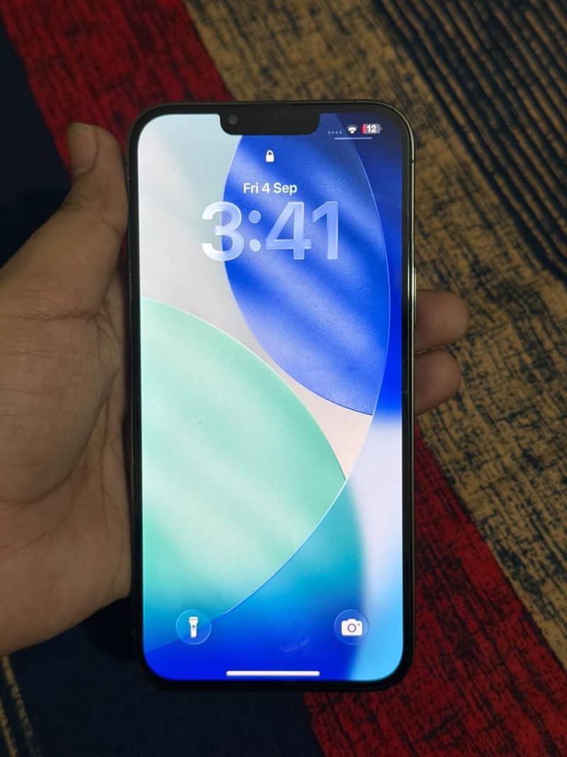 Apple iPhone 13 Pro Max 1