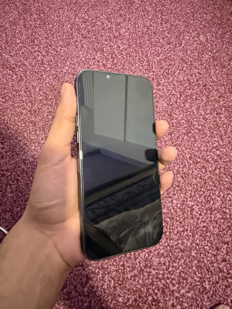 Apple iPhone 13 Pro Max 1