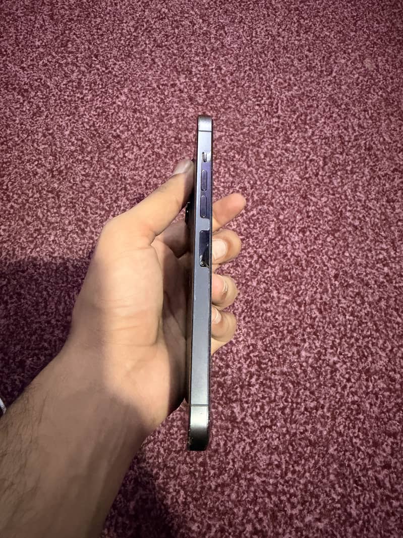 Apple iPhone 13 Pro Max 2