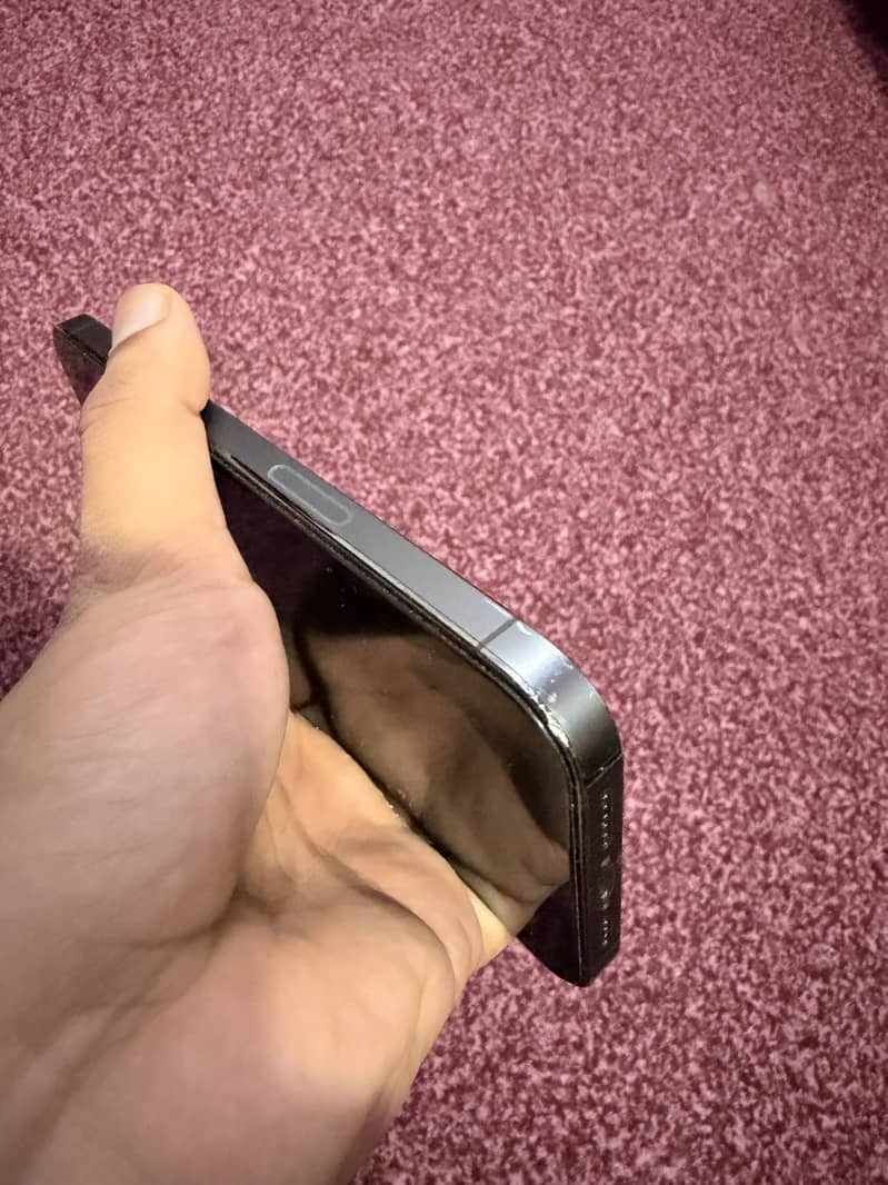 Apple iPhone 13 Pro Max 8