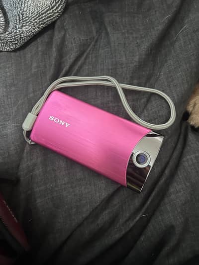 Sony/Kodak Digi cam