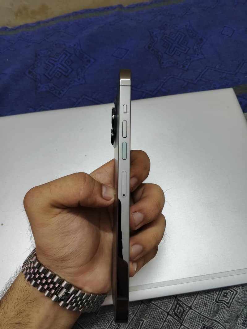 Apple iPhone 13 Pro Max 1