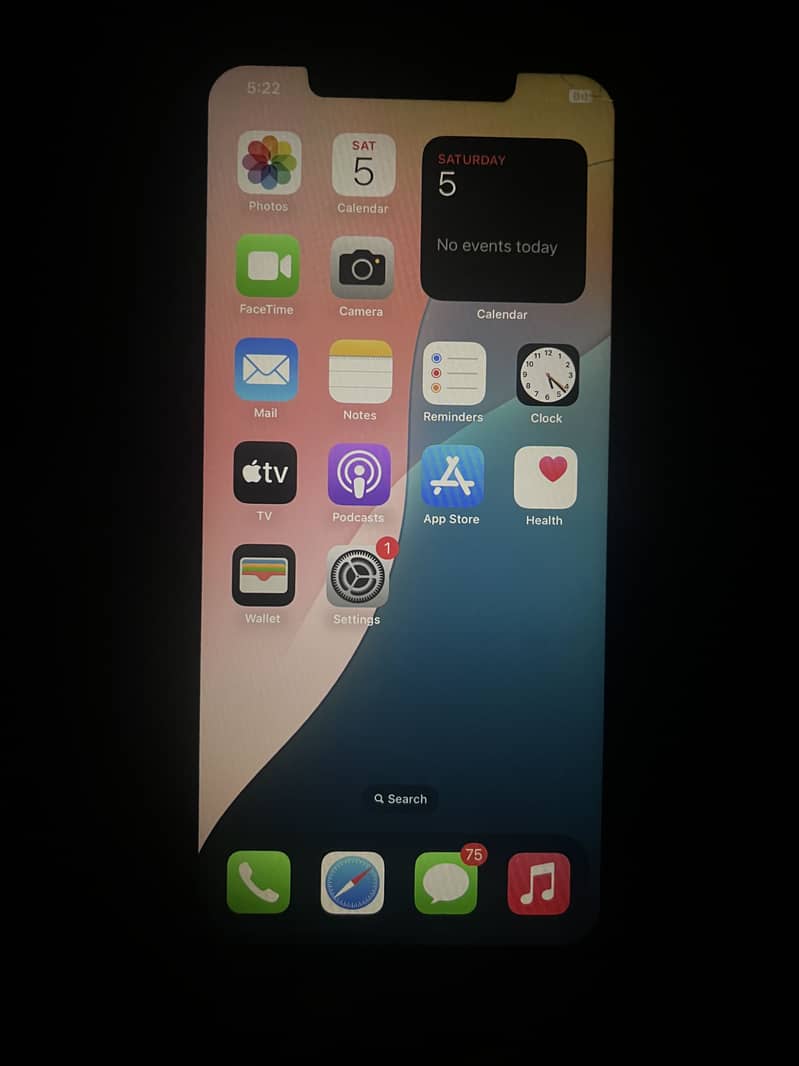 Apple iPhone XS Max 3