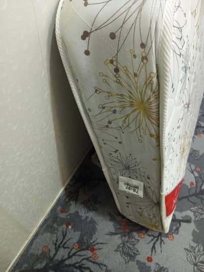 master molty foam crest spring matress