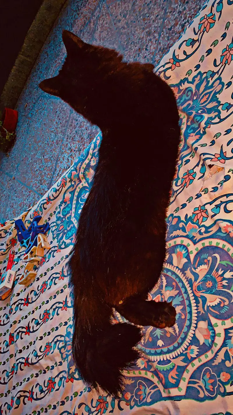 urgent sale — photo 2