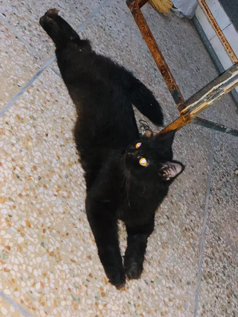 urgent sale — photo 3