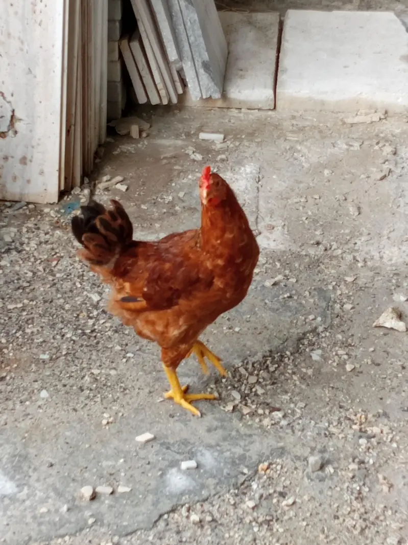 For Sale — photo 2
