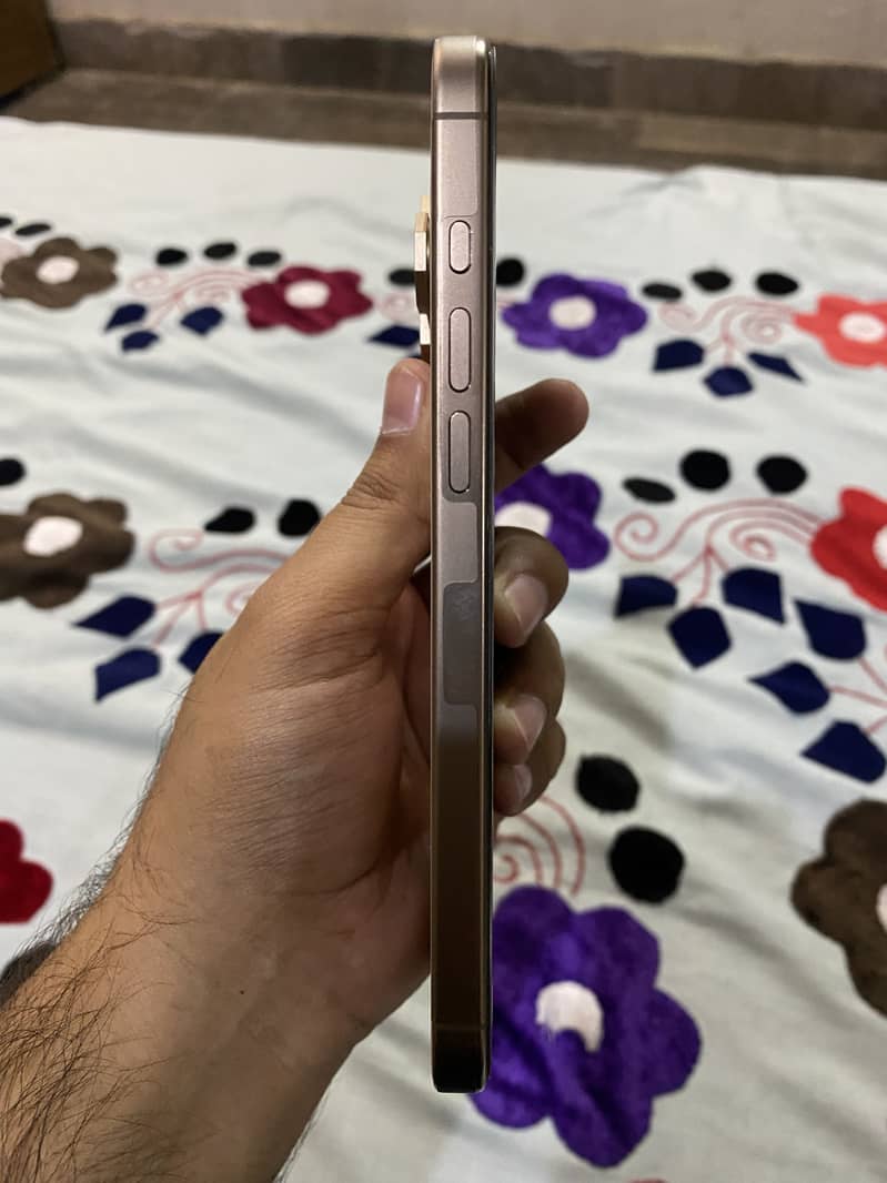 Apple iPhone 16 Pro Max 2