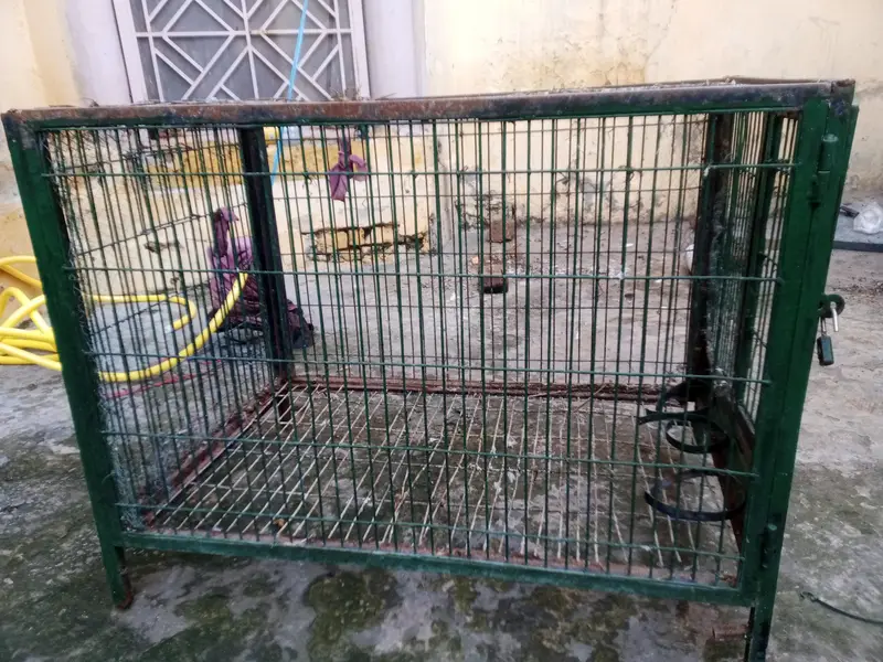 3+2 cage — photo 4