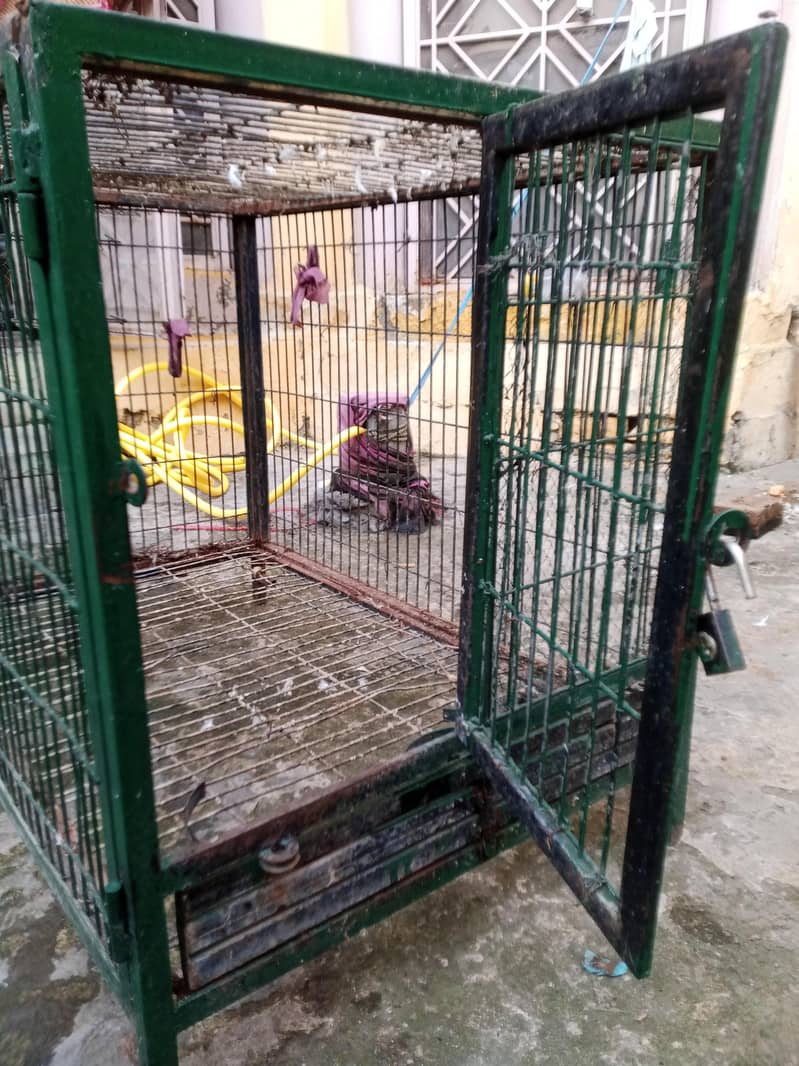 3+2 cage 4
