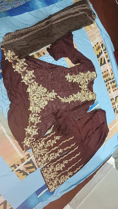 stylish embroidery dress
